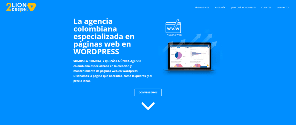 lion agencia de marketing digital en cali 