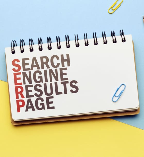 What is serp